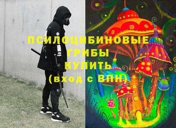 СК Балахна