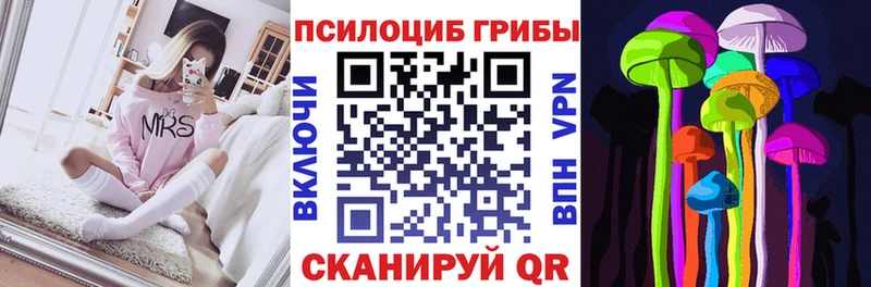 Псилоцибиновые грибы Cubensis  купить наркоту  Болохово 